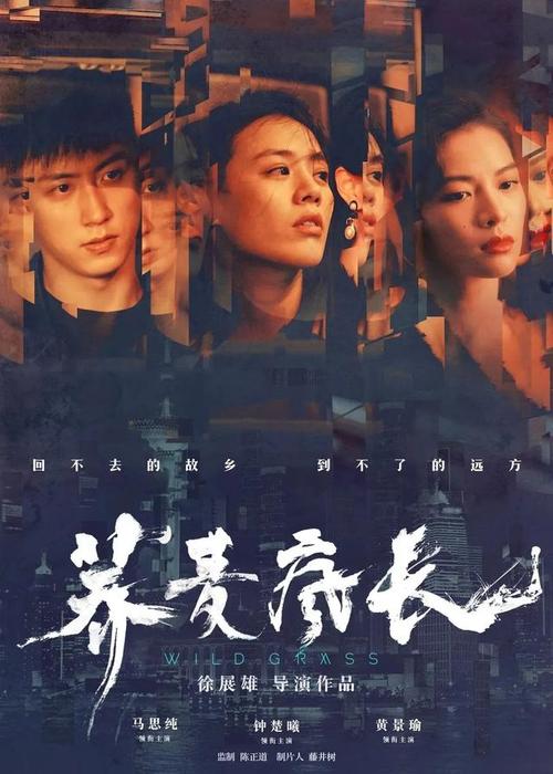 怎么办假阿根廷护照电子版